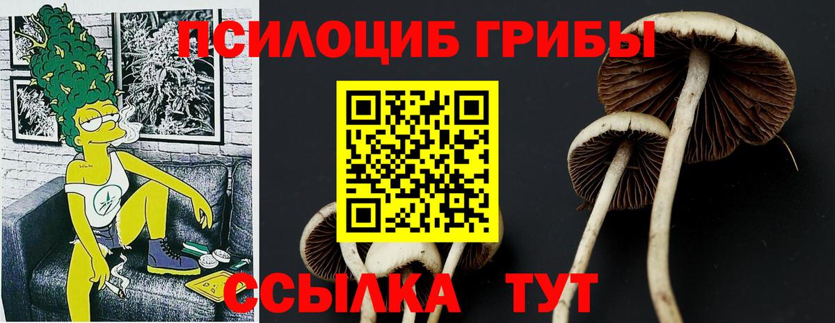 Пушкино  Псилоцибиновые грибы GOLDEN TEACHER  Псилоцибиновые грибы ЛСД  Вход с VPN 